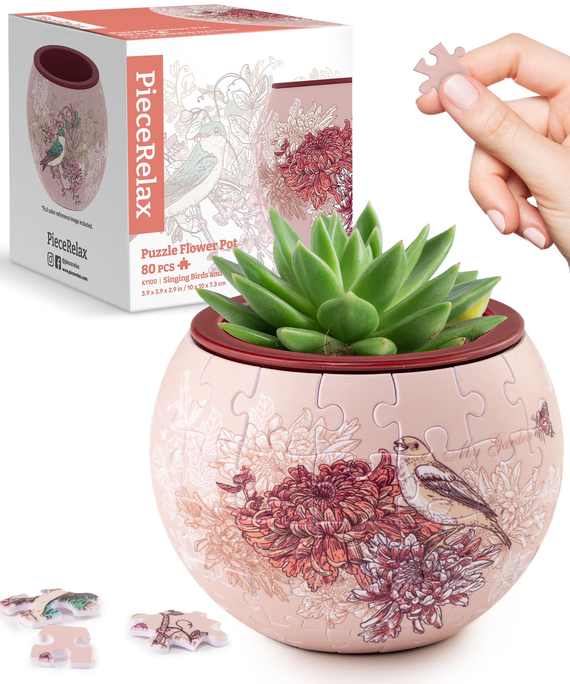 Amazon.com: PieceRelax 3D Puzzle Planter - Singing Birds and